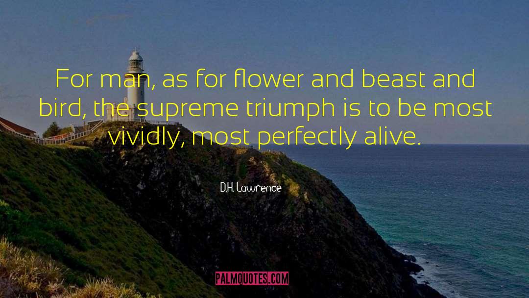 Birtwistle Triumph quotes by D.H. Lawrence