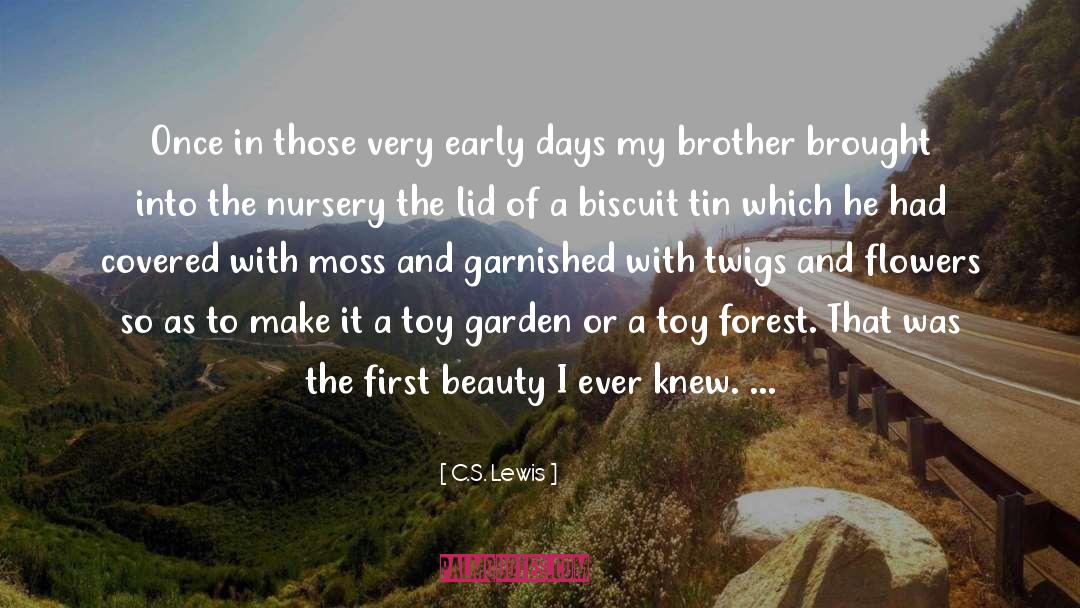 Biscuits quotes by C.S. Lewis