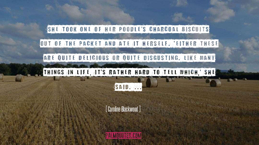 Biscuits quotes by Caroline Blackwood