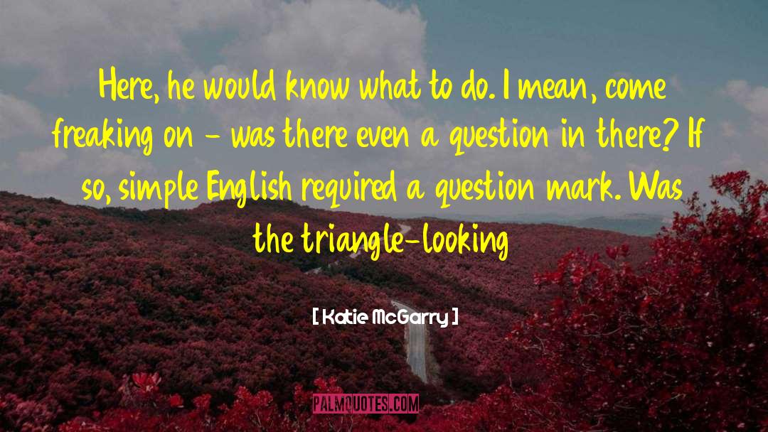 Bisecting A Triangle quotes by Katie McGarry