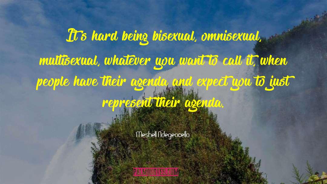 Bisexual quotes by Meshell Ndegeocello