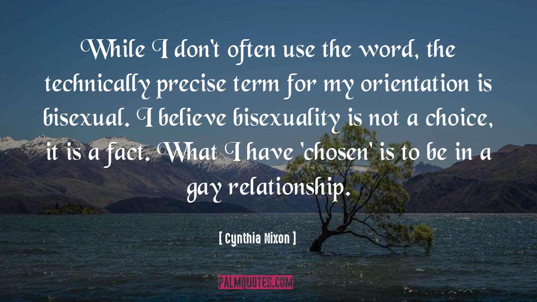 Bisexuality quotes by Cynthia Nixon