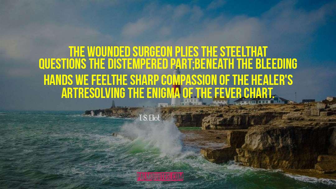 Bisignani Orthopedic Surgeon quotes by T. S. Eliot