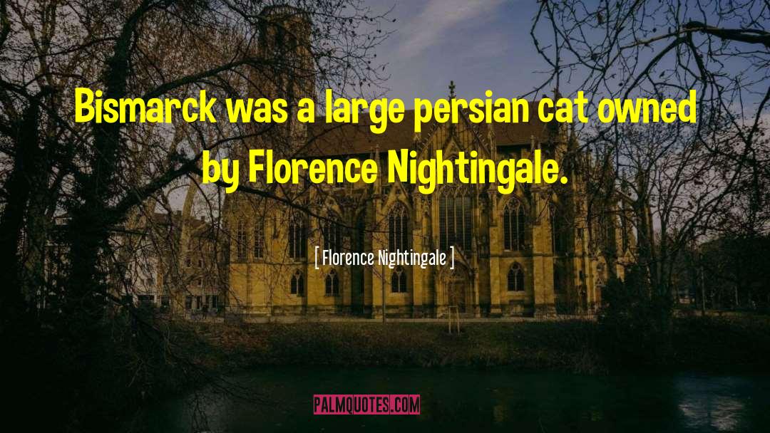 Bismarck quotes by Florence Nightingale