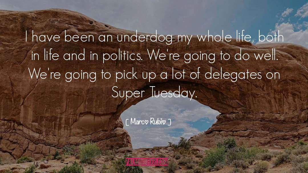 Bison It Was Tuesday Quote quotes by Marco Rubio