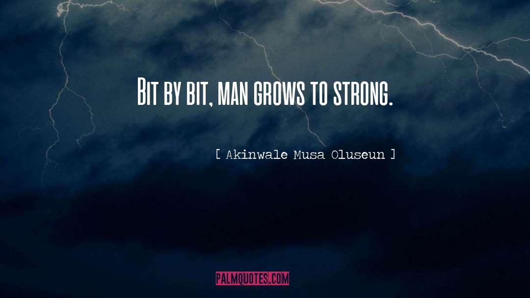 Bit By Bit quotes by Akinwale Musa Oluseun