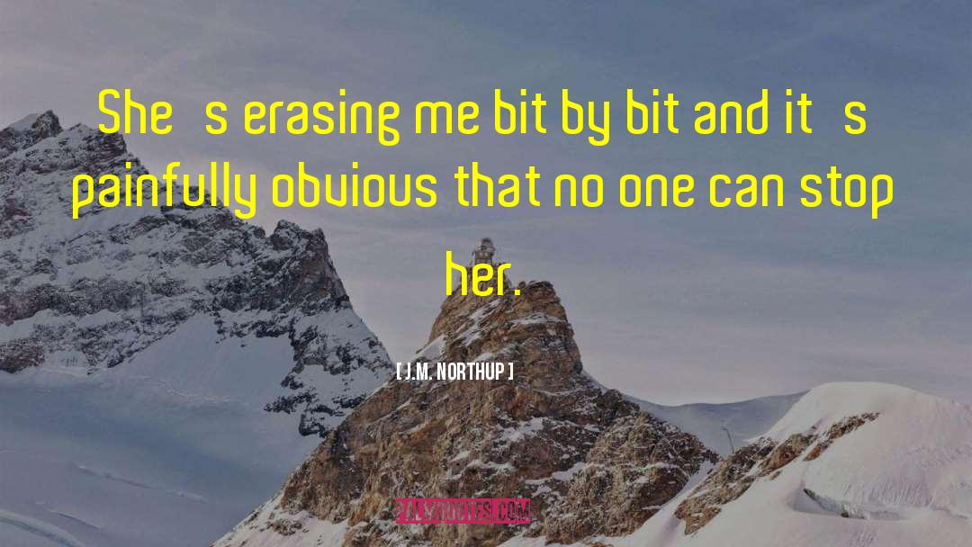 Bit By Bit quotes by J.M. Northup