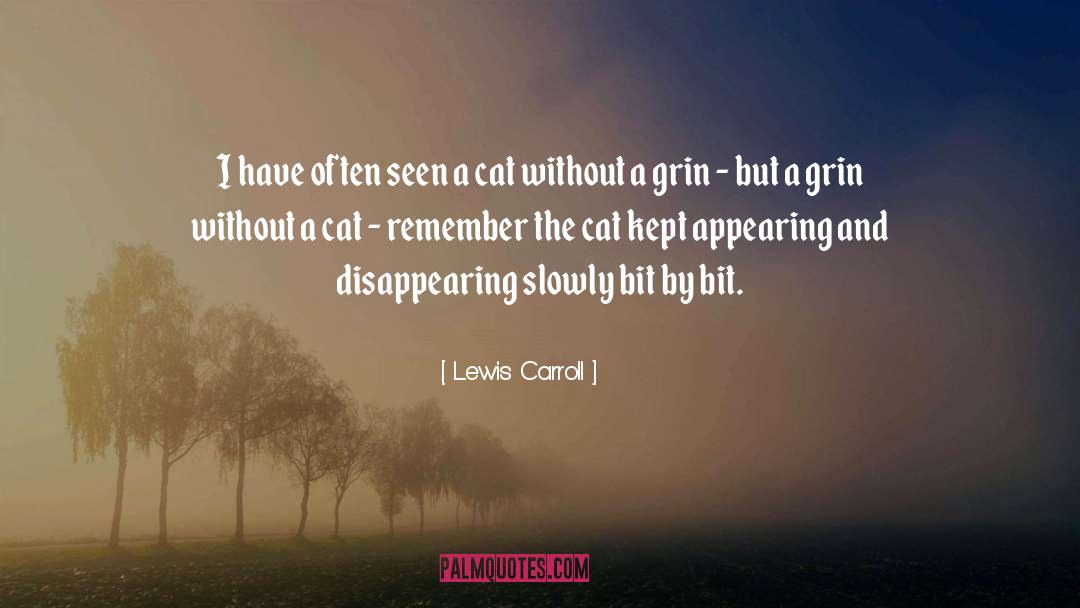 Bit By Bit quotes by Lewis Carroll