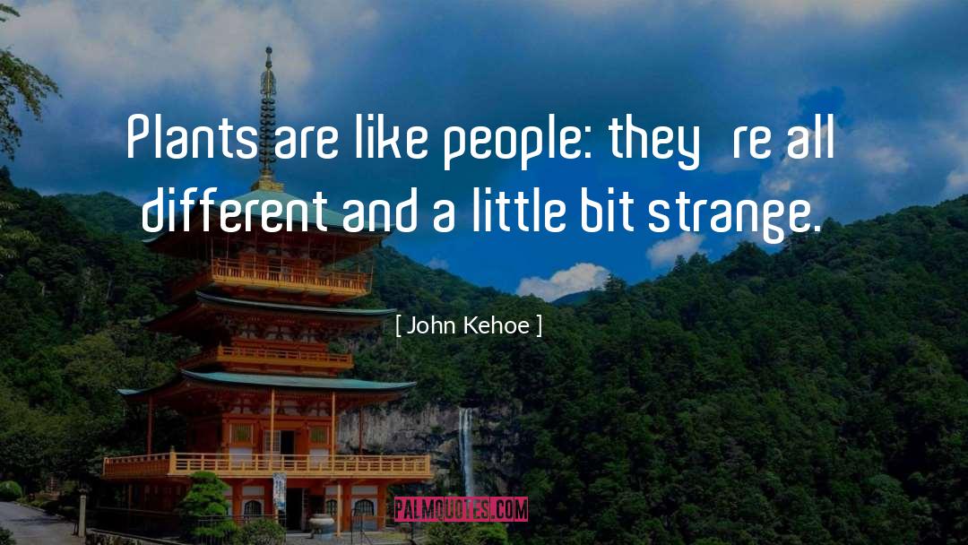 Bit quotes by John Kehoe