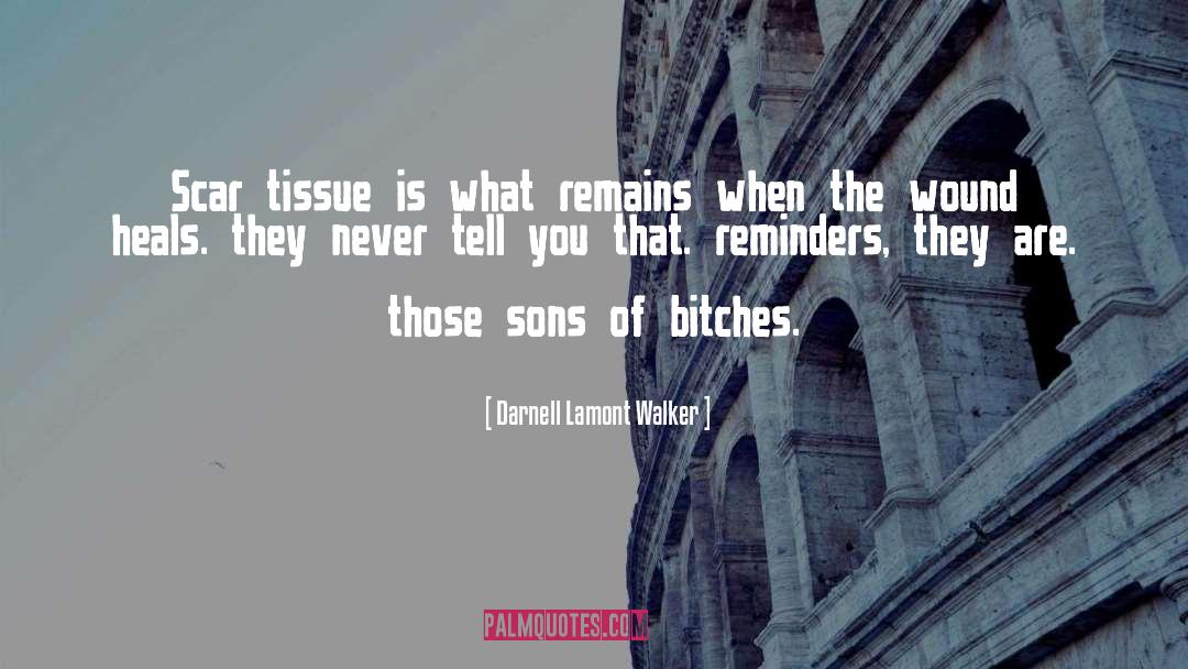 Bitches quotes by Darnell Lamont Walker