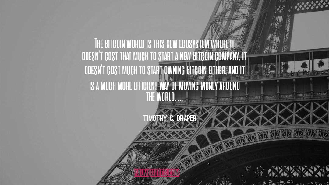 Bitcoin quotes by Timothy C. Draper