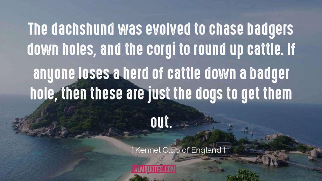 Bite Club quotes by Kennel Club Of England