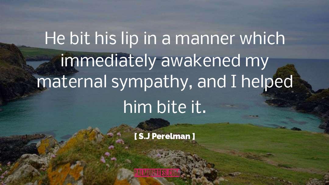 Bites quotes by S.J Perelman