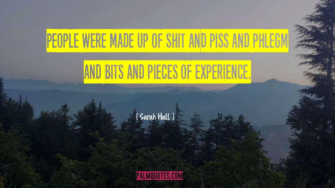 Bits And Pieces quotes by Sarah Hall