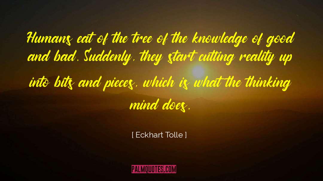 Bits And Pieces quotes by Eckhart Tolle