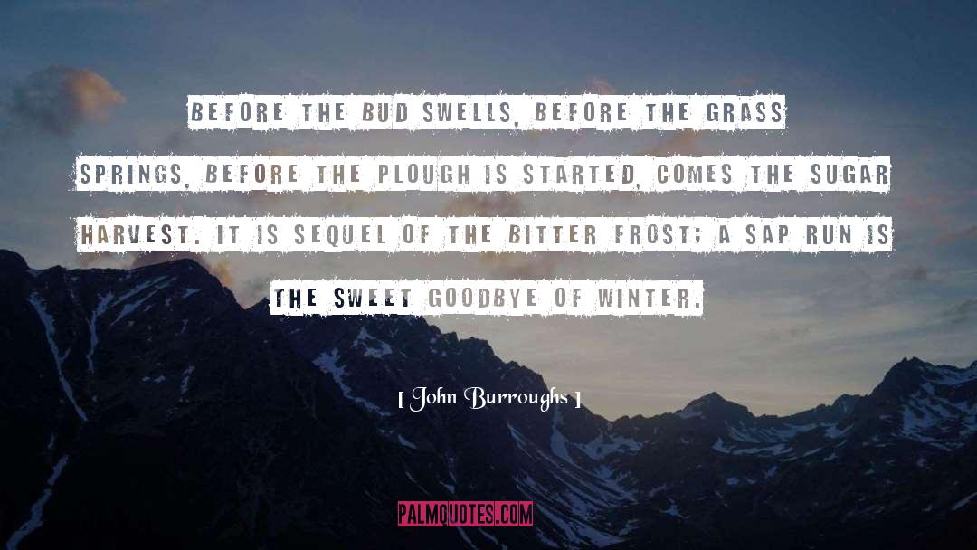 Bitter Aftertaste quotes by John Burroughs