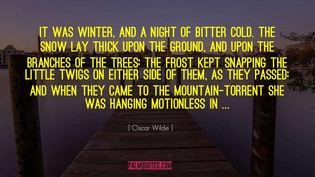 Bitter Frost Series quotes by Oscar Wilde