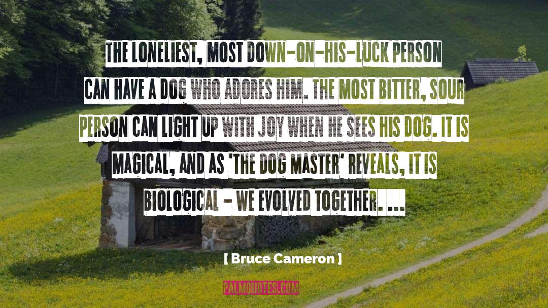 Bitter quotes by Bruce Cameron