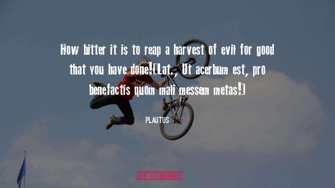 Bitter quotes by Plautus