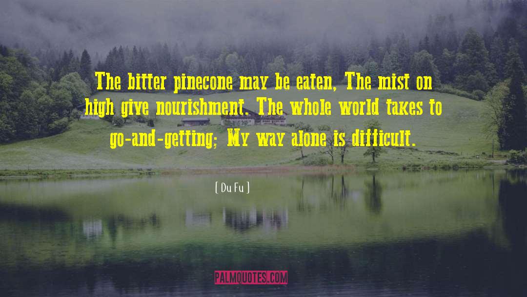 Bitter Slromines quotes by Du Fu