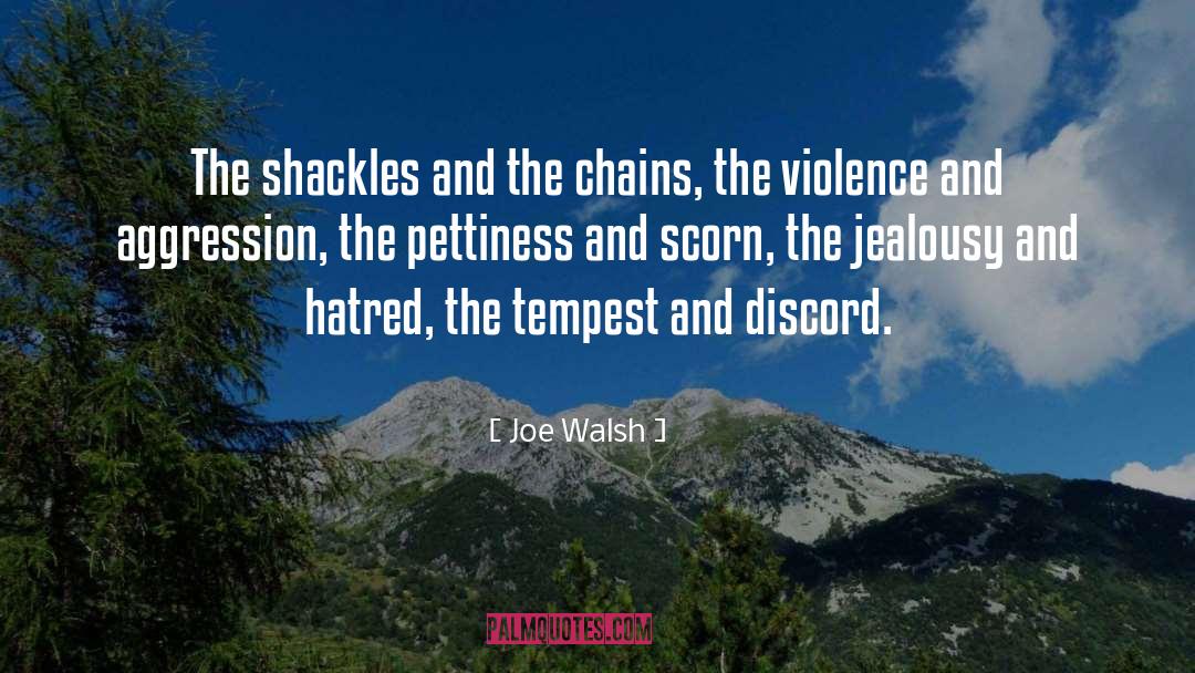 Bitterness And Hatred quotes by Joe Walsh