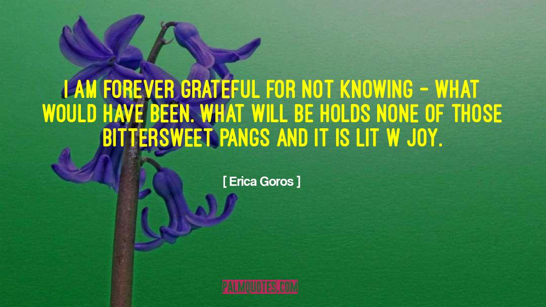 Bittersweet quotes by Erica Goros