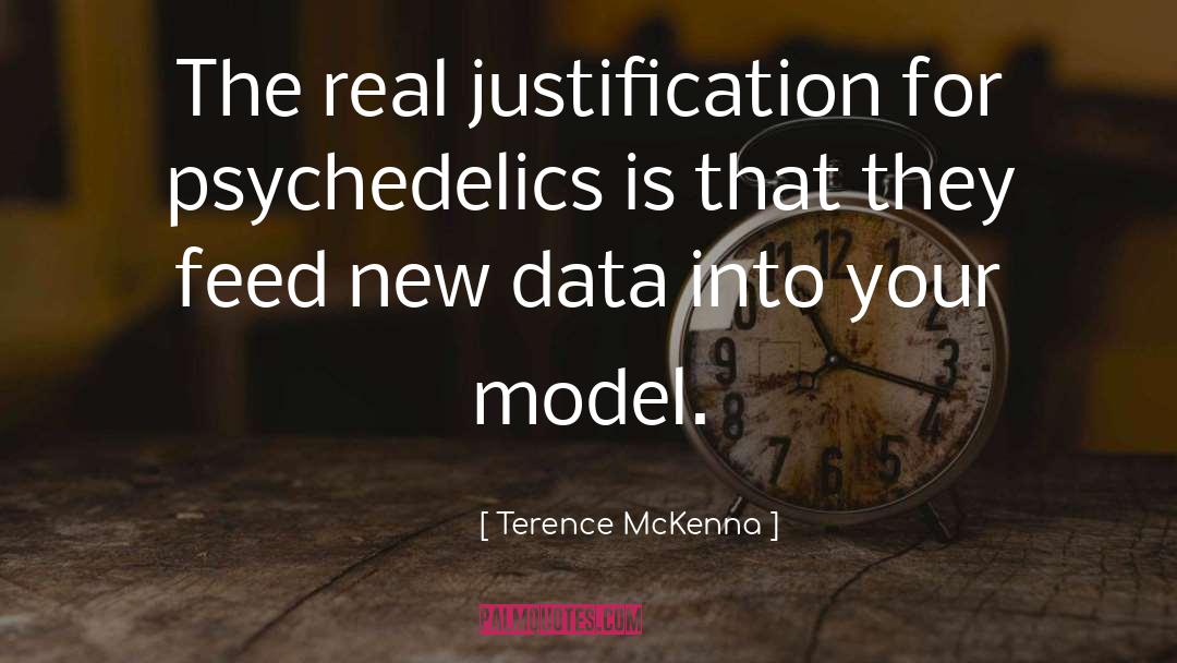 Bivans Model quotes by Terence McKenna