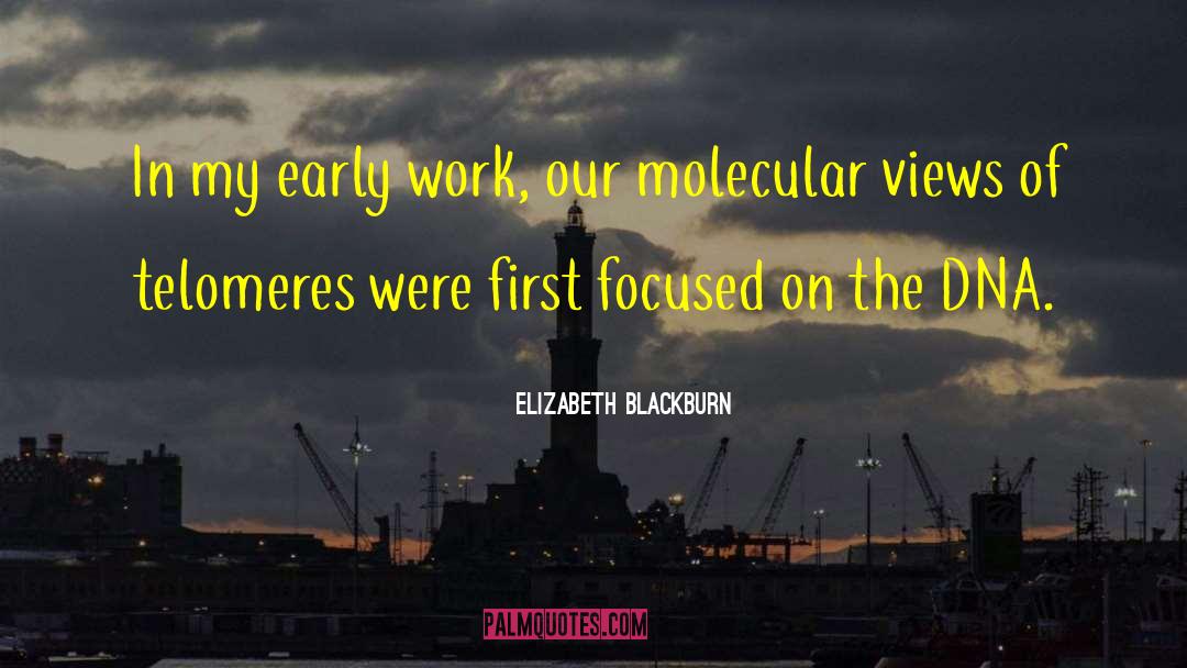 Bixin Molecular quotes by Elizabeth Blackburn