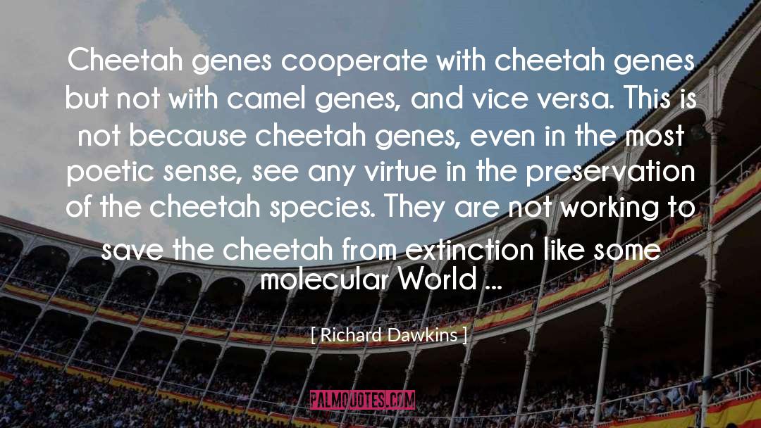 Bixin Molecular quotes by Richard Dawkins