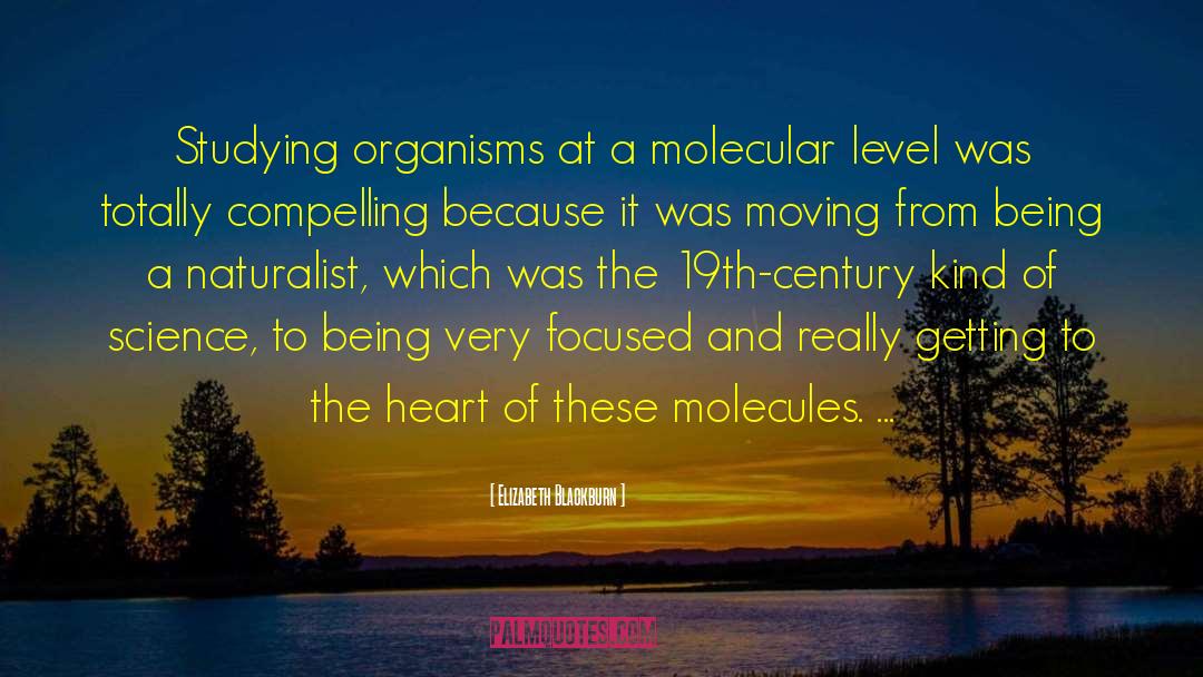 Bixin Molecular quotes by Elizabeth Blackburn