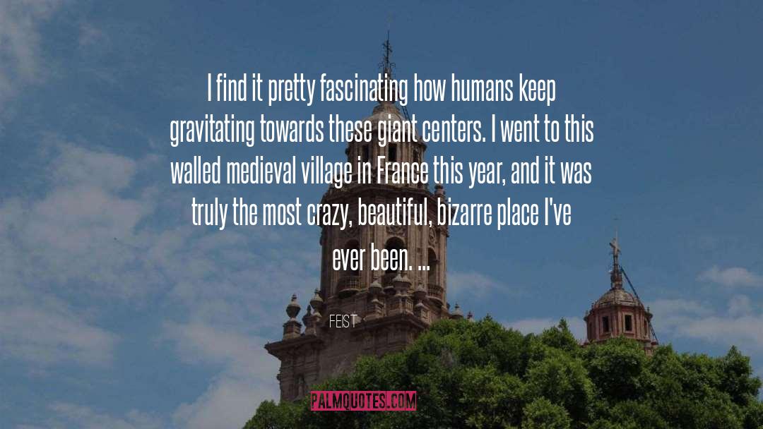 Bizarre quotes by Feist