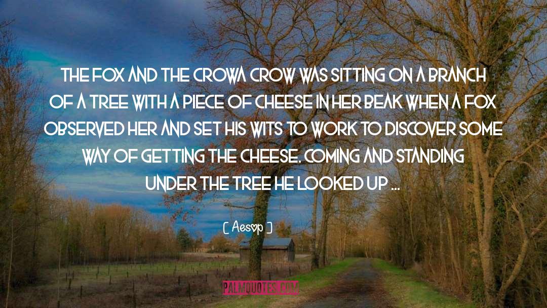 Bjorklund Cheese quotes by Aesop