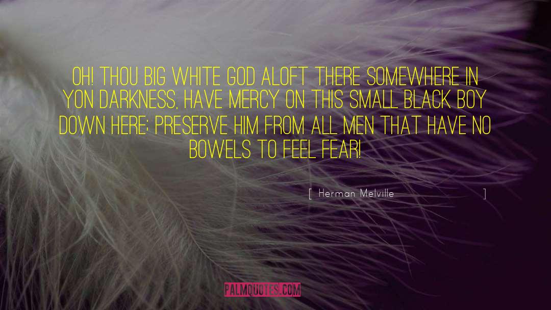 Black Ajah quotes by Herman Melville