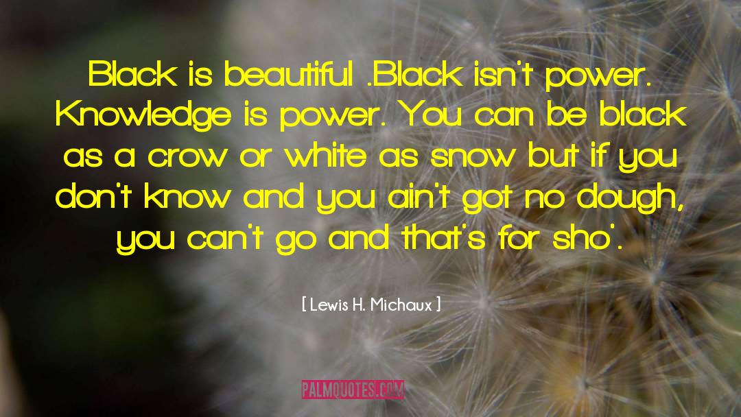 Black And White Filters quotes by Lewis H. Michaux