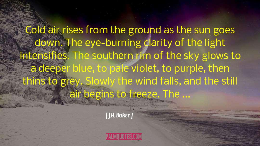 Black Author quotes by J.A. Baker