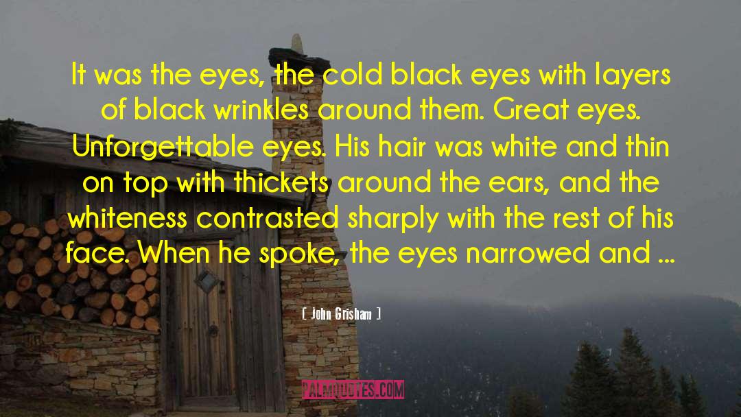 Black Beauty quotes by John Grisham