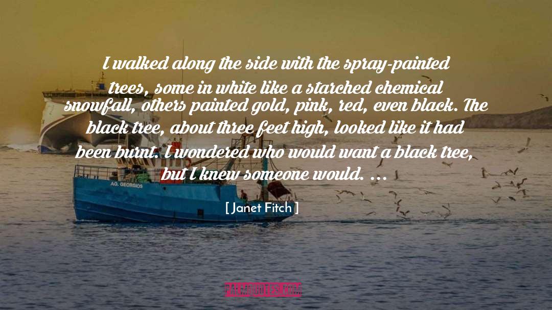 Black Belt quotes by Janet Fitch