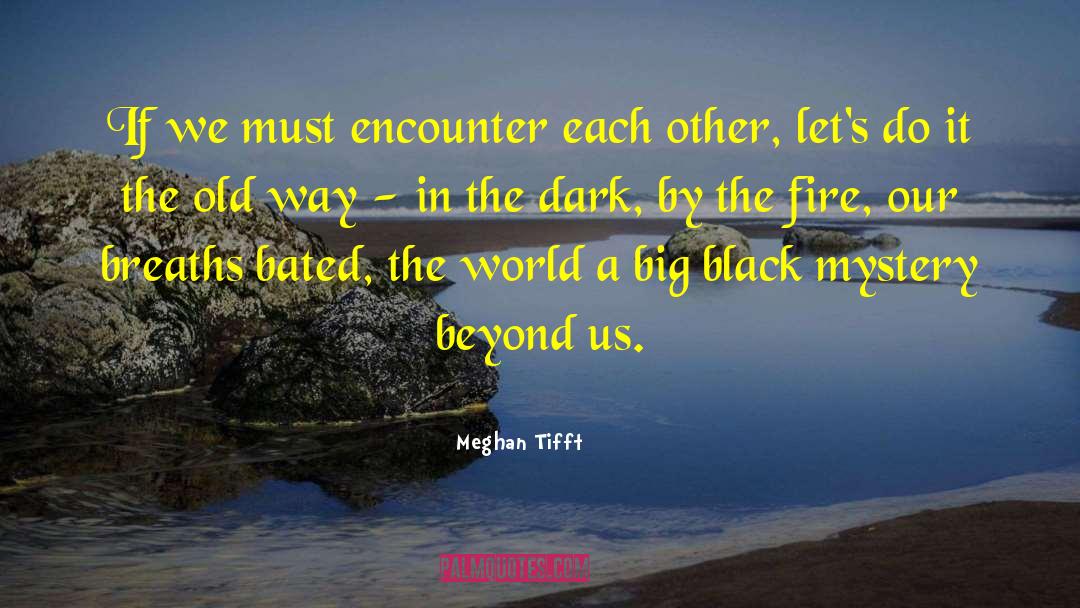 Black Bodies quotes by Meghan Tifft