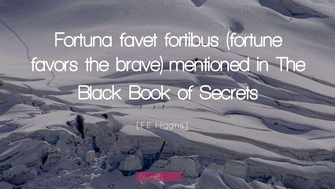 Black Book quotes by F.E. Higgins