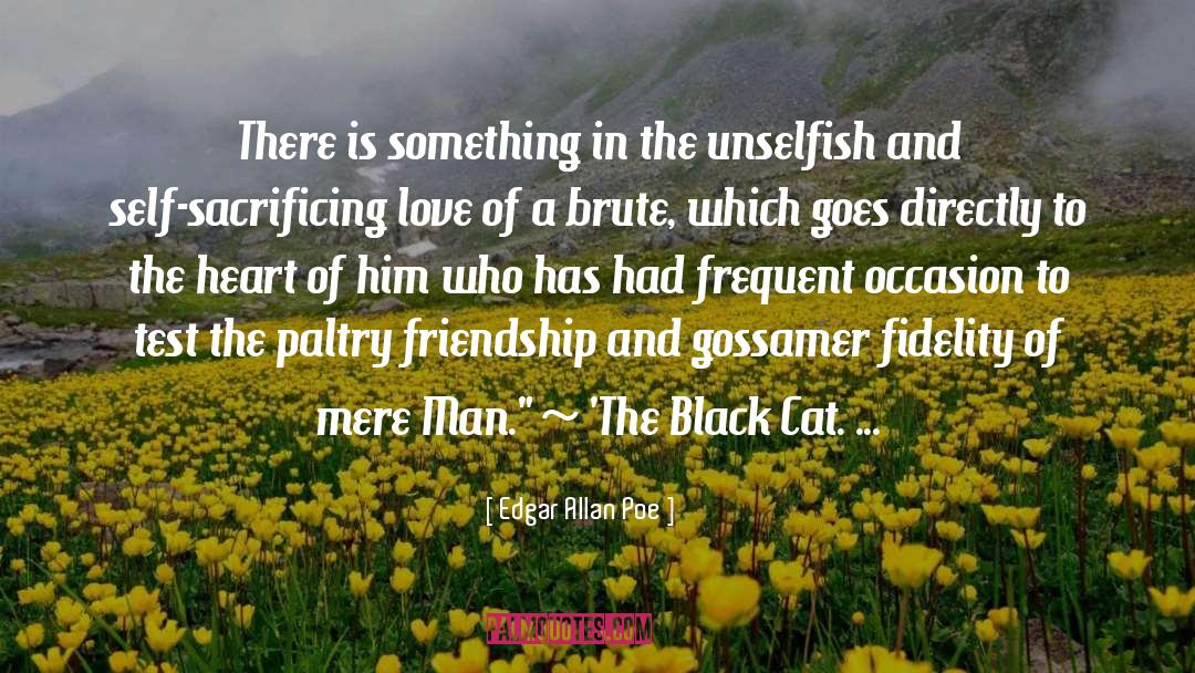 Black Cat quotes by Edgar Allan Poe