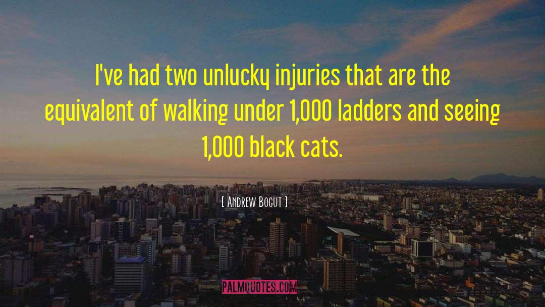 Black Cat quotes by Andrew Bogut