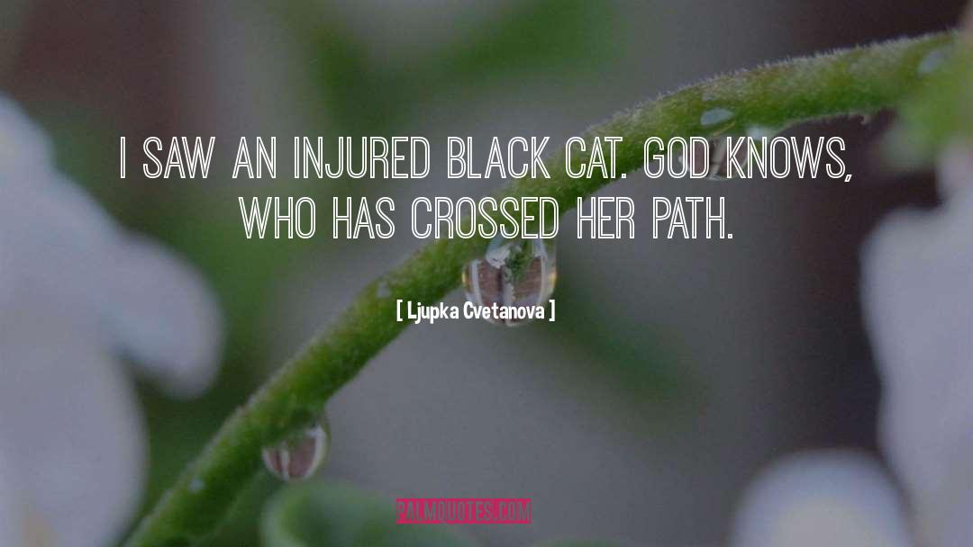 Black Cat quotes by Ljupka Cvetanova