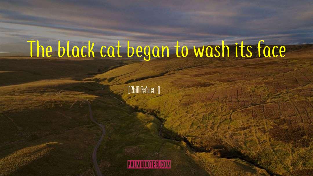 Black Cat quotes by Neil Gaiman