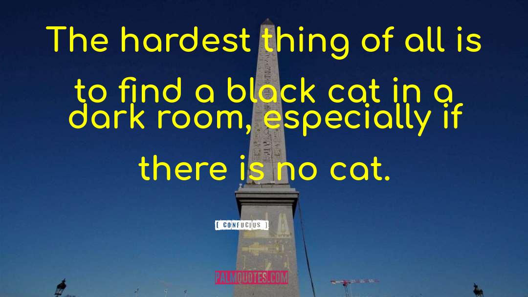 Black Cat quotes by Confucius