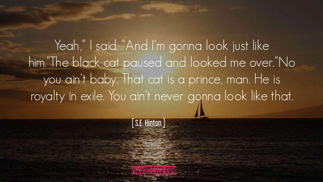 Black Cat quotes by S.E. Hinton