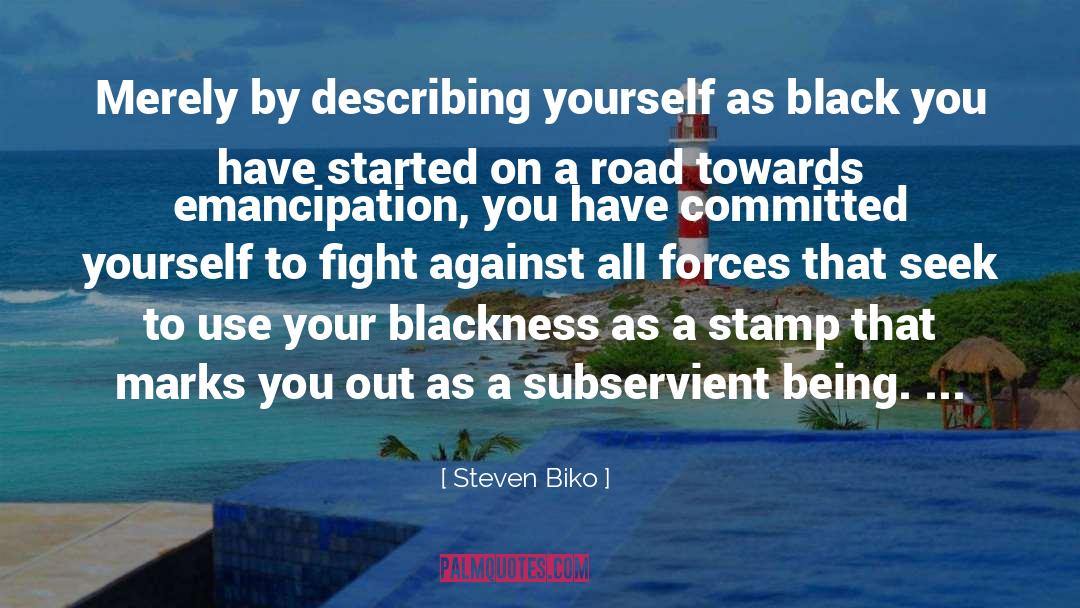Black Cloud quotes by Steven Biko