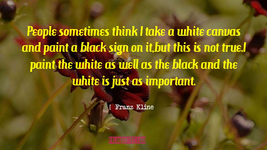 Black Comedy quotes by Franz Kline