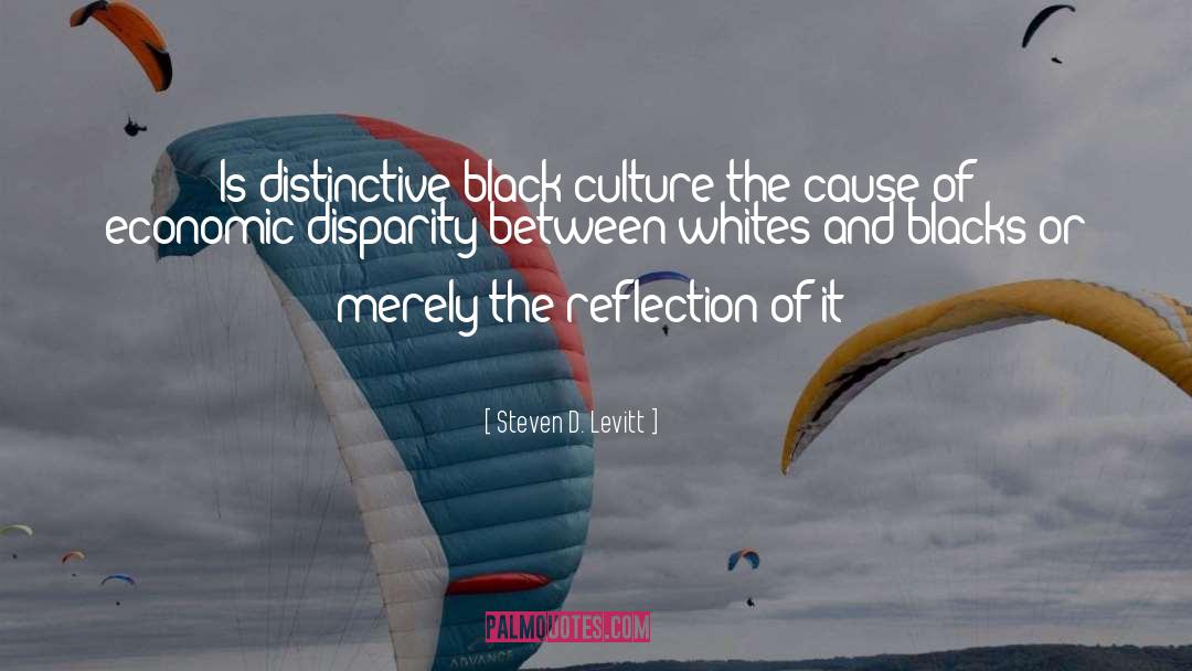 Black Culture quotes by Steven D. Levitt