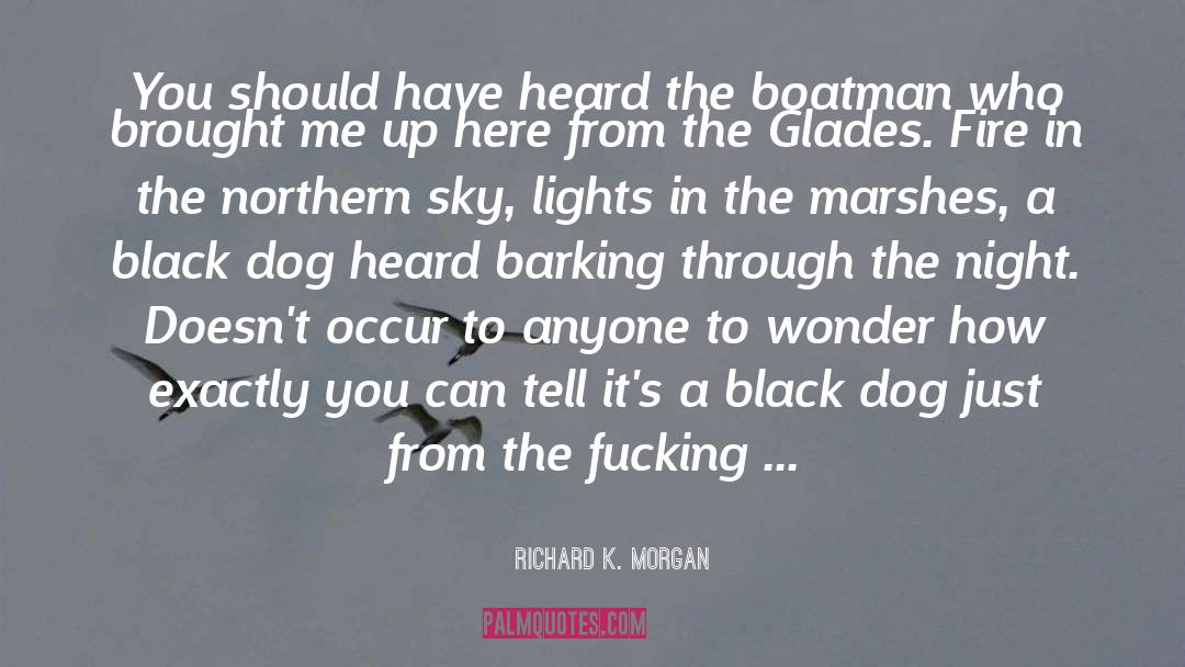Black Dog quotes by Richard K. Morgan