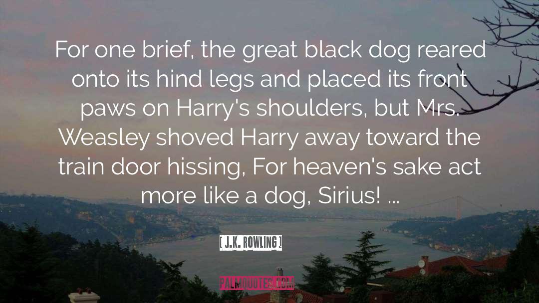 Black Dog quotes by J.K. Rowling